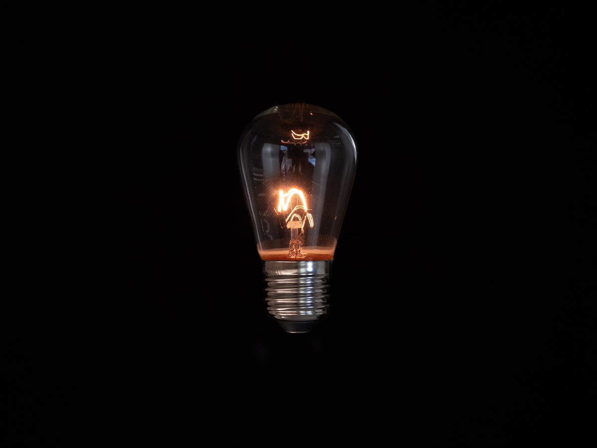 Festoon Bulbs - 2W LED or 11W Vintage Edison