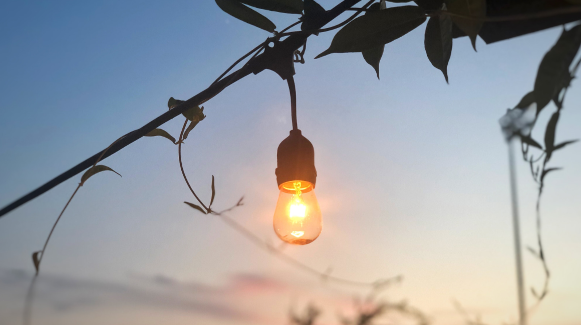 Festoon String Lights with 11W Vintage Edison Bulbs